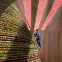 Dutch Pavilion at Dubai Expo 2020