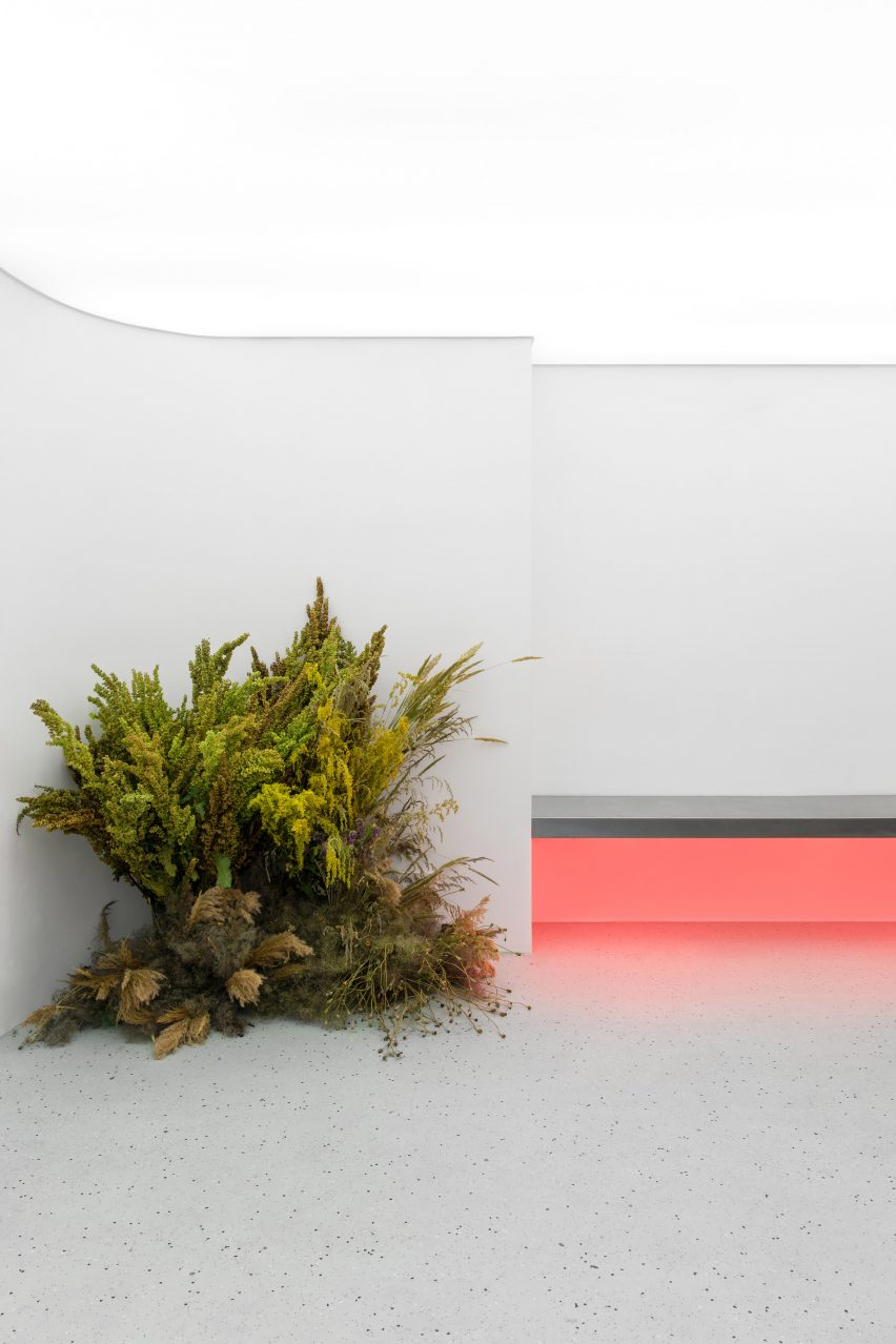 Guapa Flower Shop by Eduard Eremchuck