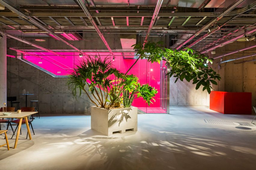 Hay pop-up store in Tokyo, designed by Schemata Architects/Jo Nagasaka