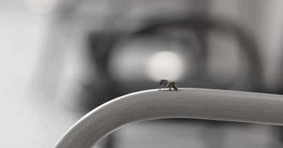 Oh Lovely Bee by Studio MK27 at Micasa Vol C