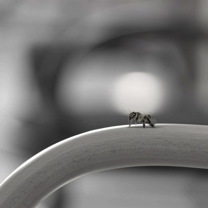 Oh Lovely Bee by Studio MK27 at Micasa Vol C