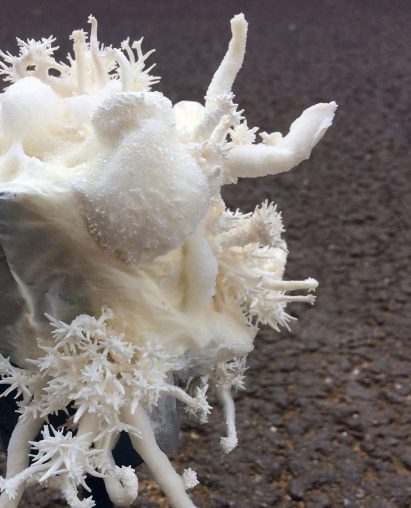 Nir Meiri makes sustainable lamp shades from mushroom mycelium