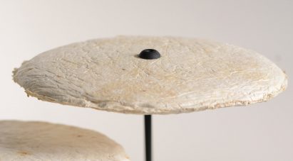 Nir Meiri makes sustainable lamp shades from mushroom mycelium