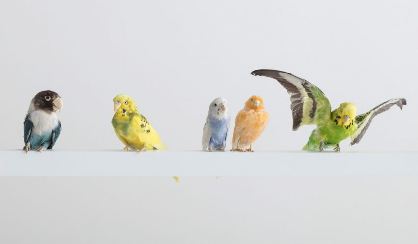 Breaking the Box by Sebastian ErraZuriz at R & Company