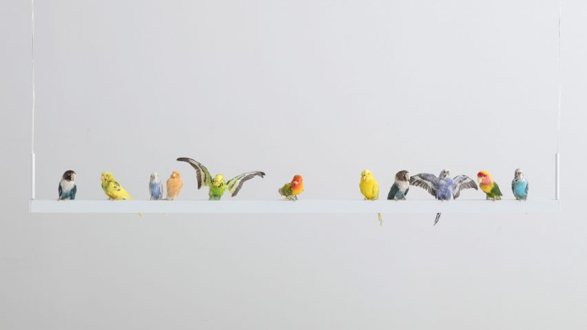 Breaking the Box by Sebastian ErraZuriz at R & Company