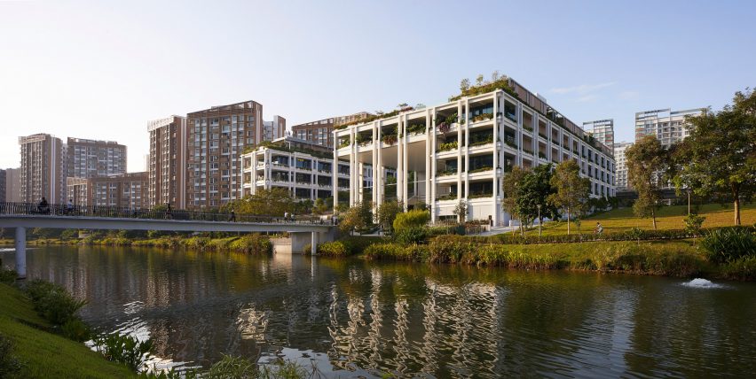 Oasis Terraces by Serie and Multiply Architects