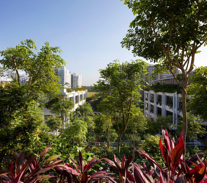 Oasis Terraces by Serie and Multiply Architects