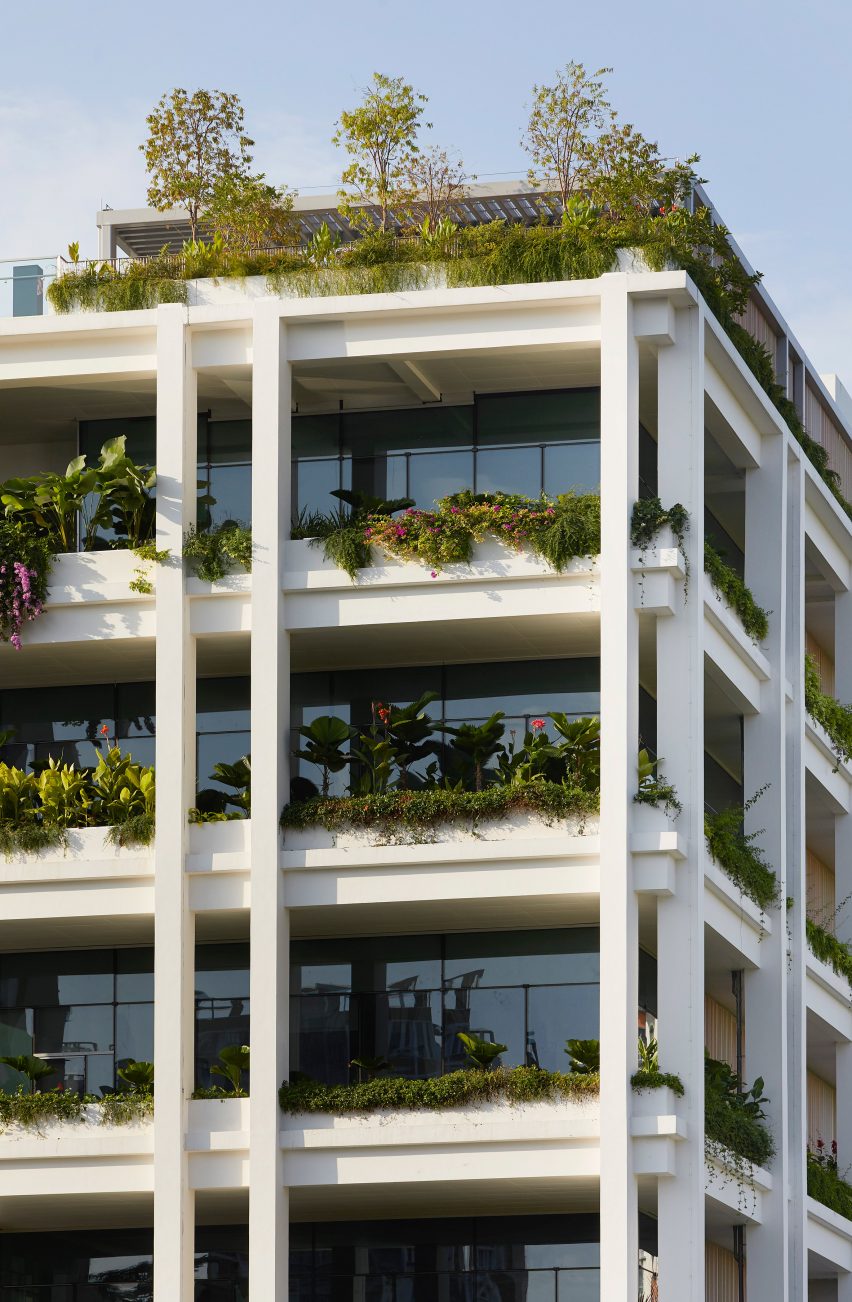 Oasis Terraces by Serie and Multiply Architects