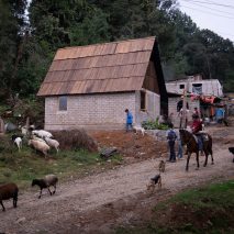 Housing in Ocuilan by Rozana Montiel