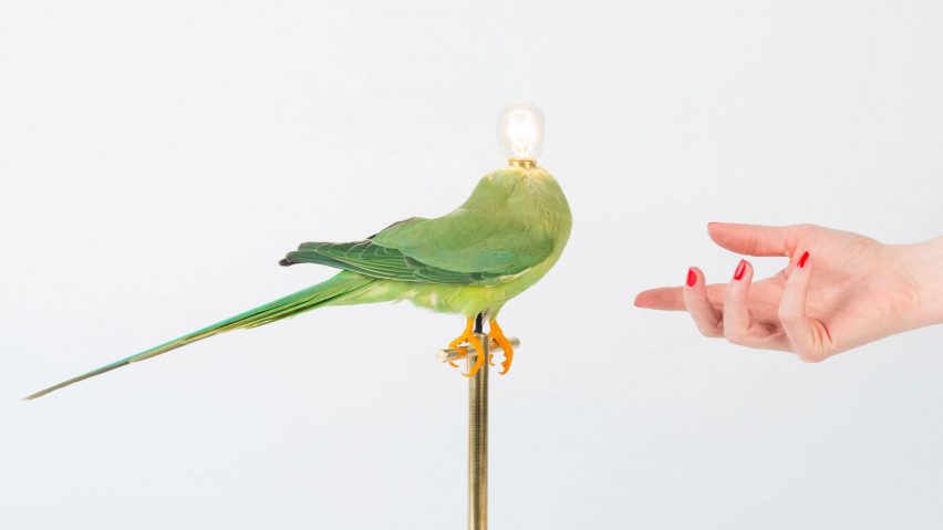Single Perch Lamp by Sebastian Errazuriz
