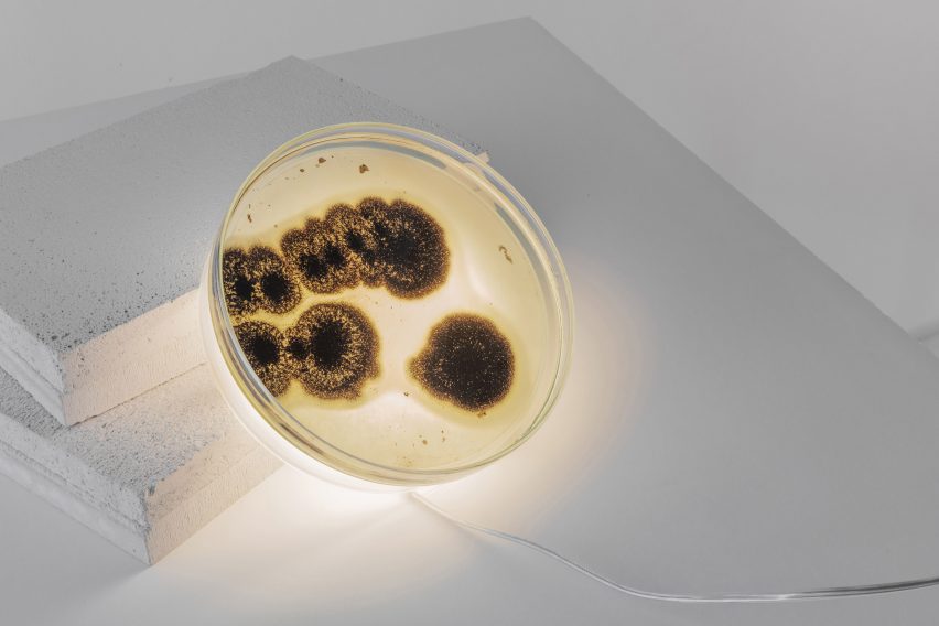 Jan Klingler Bacteria lamps ArkDes