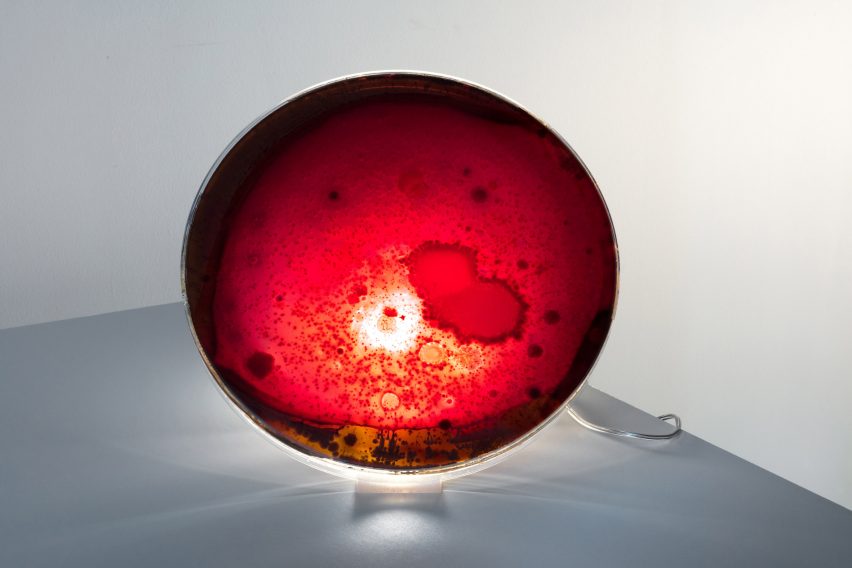 Jan Klingler Bacteria lamps ArkDes