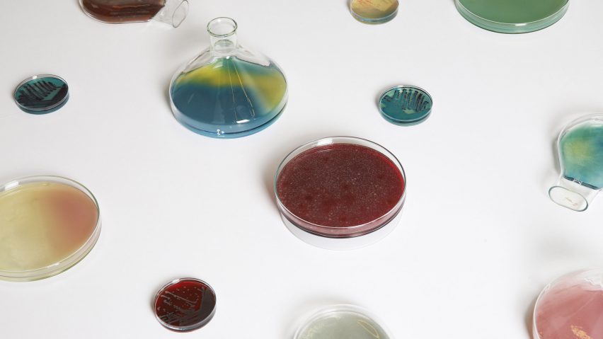 Jan Klingler Bacteria lamps ArkDes