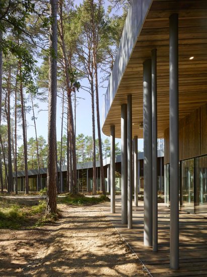 Arvo Pärt centre by Nieto Sobejano Arquitectos. Photo by Roland Halbe