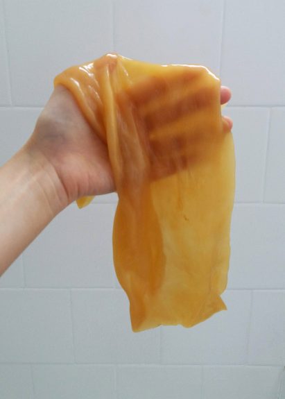 Elena Amato designs sustainable bio-plastic packaging from bacterial cellulose