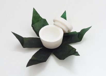 Elena Amato designs sustainable bio-plastic packaging from bacterial cellulose