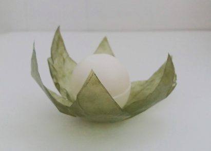 Elena Amato designs sustainable bio-plastic packaging from bacterial cellulose