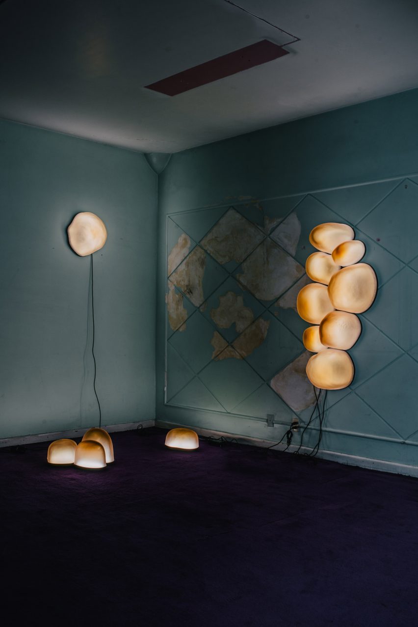 Masa gallery exhibit in Mexico City