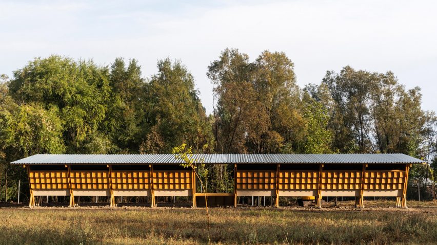House of Chickens by SO Architecture