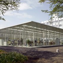 Architecture ethics: Junya Ishigami