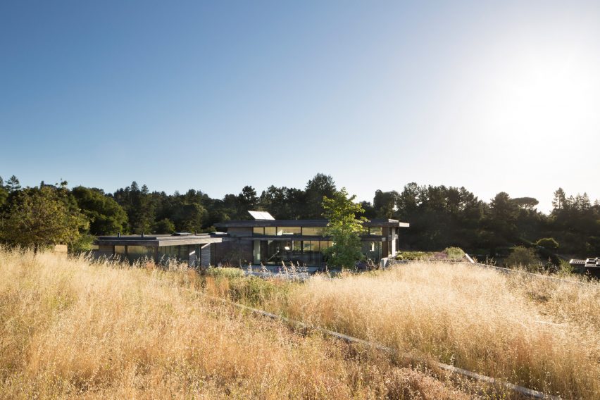 Meadow Home by Feldman Architecture