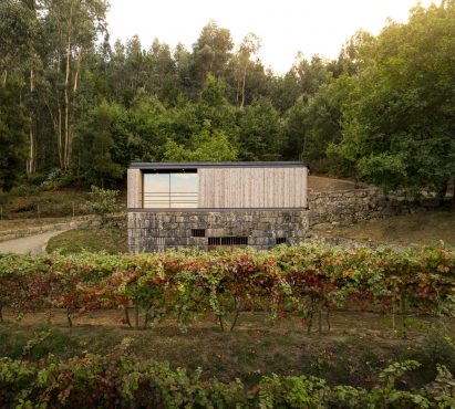 Pavilion House by Andreia Garcia Architectural Affairs + Diogo Aguiar Studio
