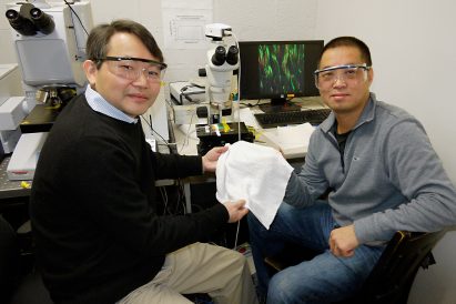 Temperature regulating fabric by researchers at University of Maryland