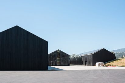 Silver Oak Winery by Piechota Architecture