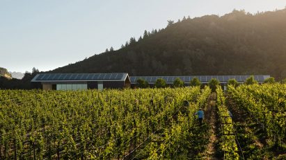Silver Oak Winery by Piechota Architecture
