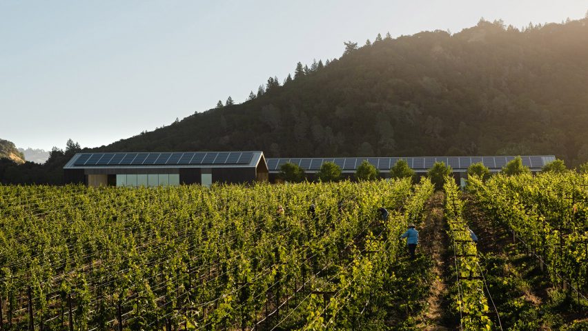 Silver Oak Winery by Piechota Architecture