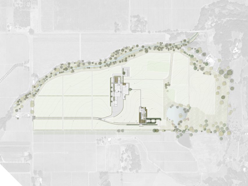 Silver Oak Winery by Piechota Architecture