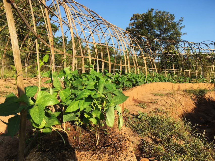 Green Shoots Foundation Agriculture Technology Centre in in Krong Samraong, Cambodia by Squire & Partners and SAWA