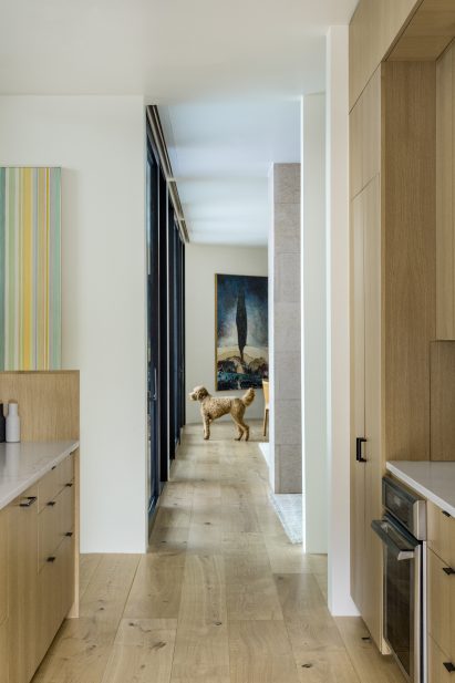 V-Plan House by Studio B