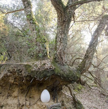 Capsula Mundi