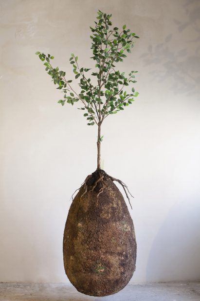 Capsula Mundi