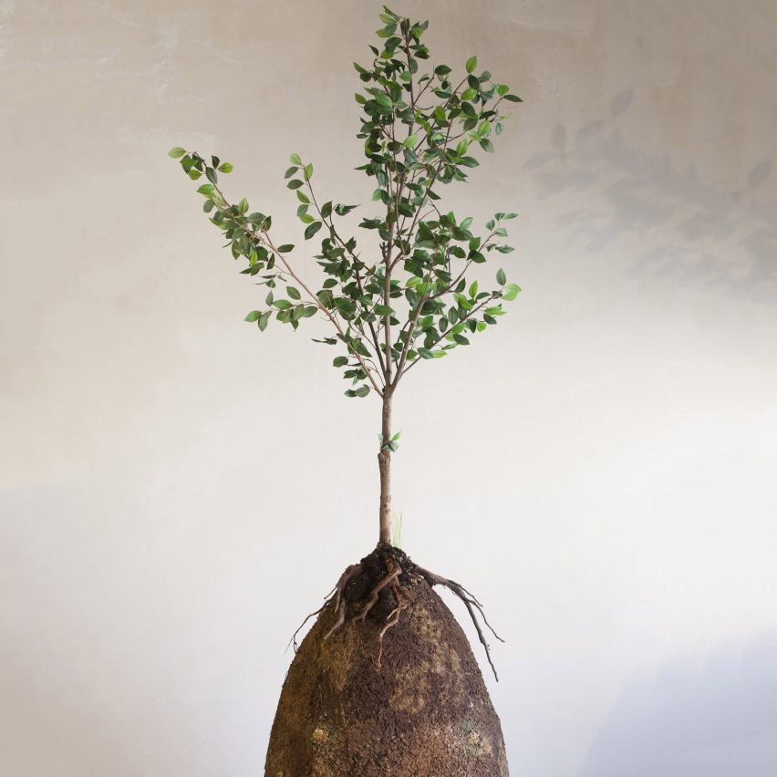 Capsula Mundi