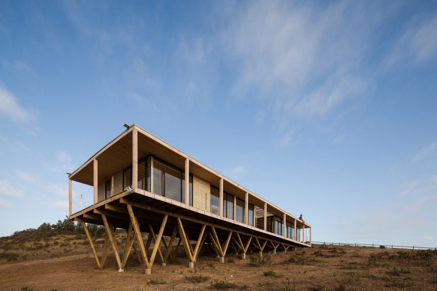 SAA Arquitectura + Territorio