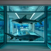 Empathy Suite by Damien Hirst