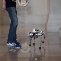 MIT Mini Cheetah robot backflip