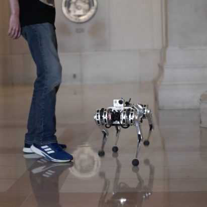 MIT Mini Cheetah robot backflip