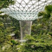 World’s tallest indoor waterfall in Moshe Safdie's Changi airport
