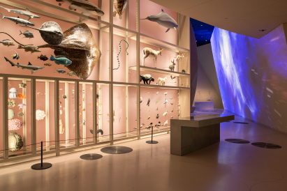 National Museum of Qatar in Doha by Ateliers Jean Nouvel
