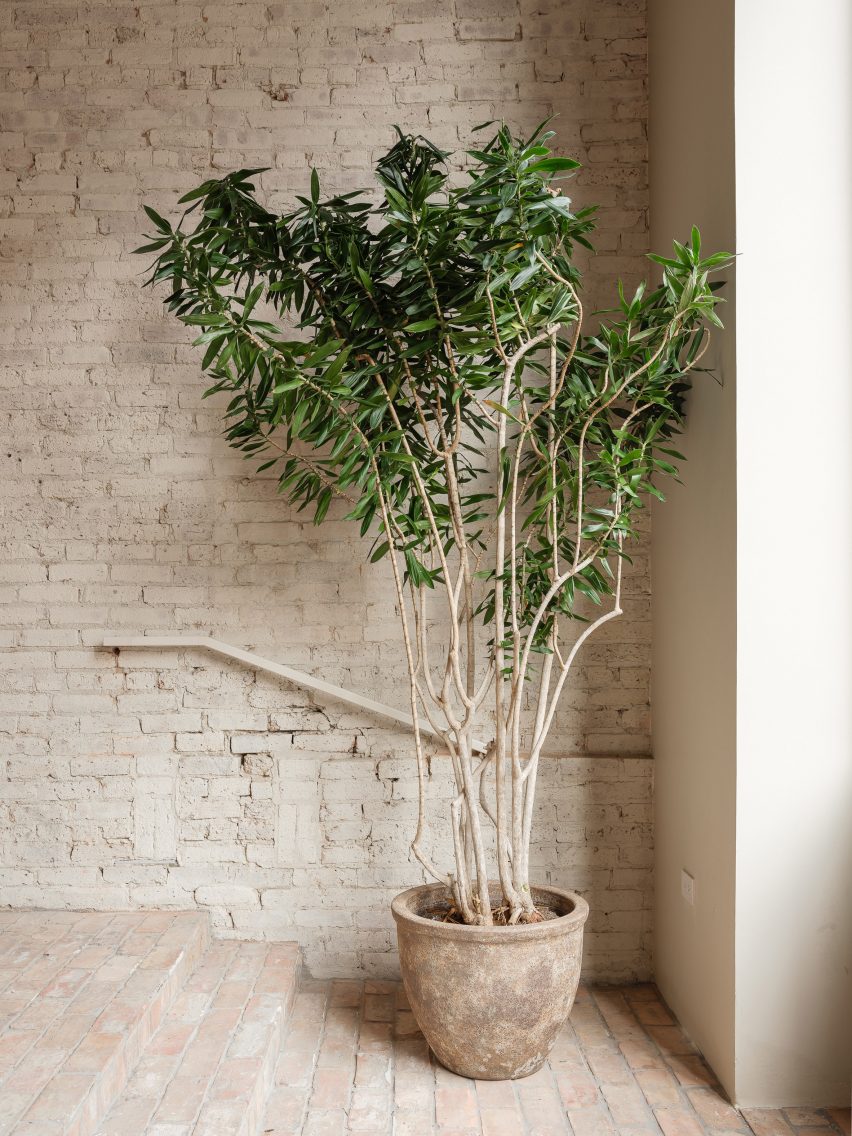 Notre interior renovation by Norman Kelley