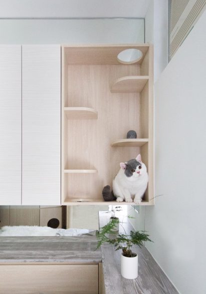 Pets Playground apartment in Hong Kong by Sim-Plex Design Studio
