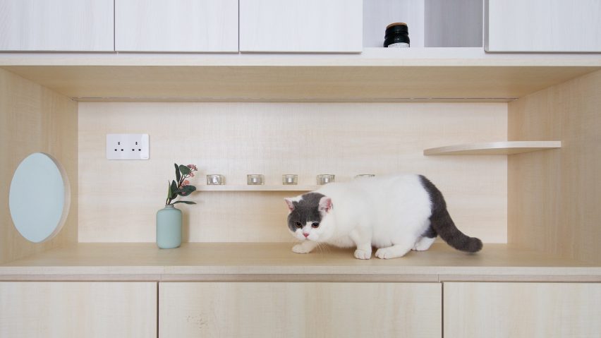 Pets Playground apartment in Hong Kong by Sim-Plex Design Studio