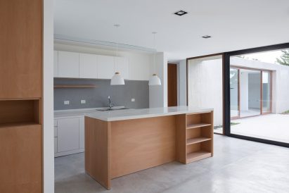 Rex House by Felipe Gonzalez Arzac