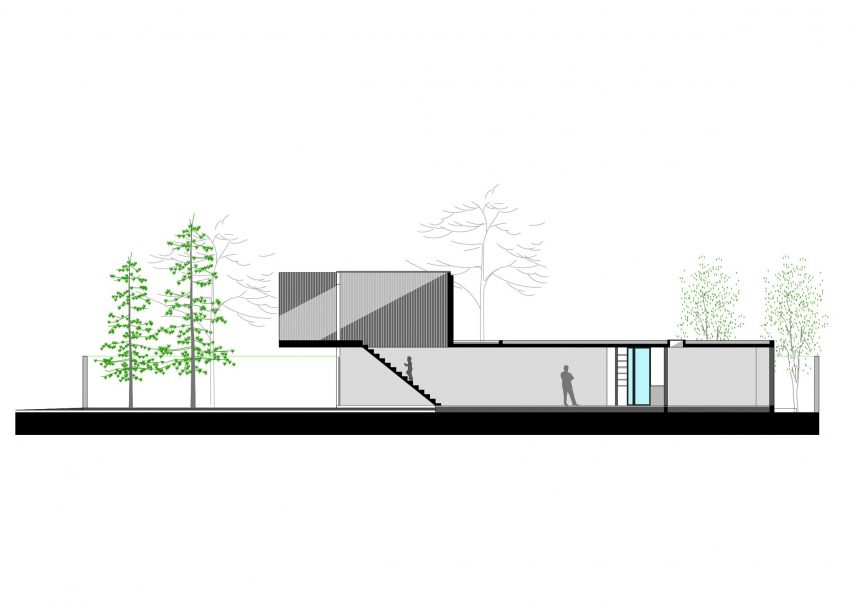 Rex House by Felipe Gonzalez Arzac
