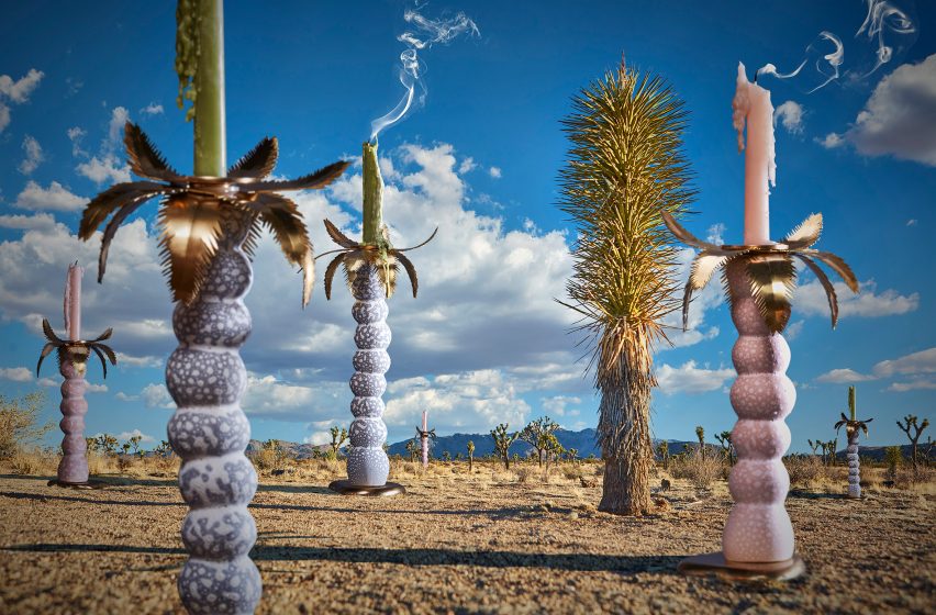 Wild Things by the Haas Brothers