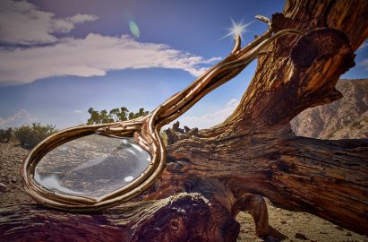 Optipus Magnifying Glass in Wild Things by the Haas Brothers