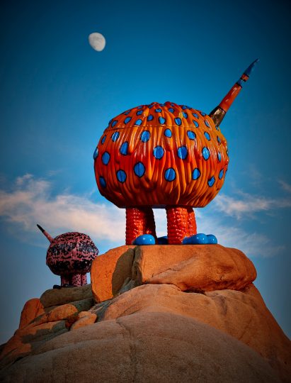 Gila Monster Vessel in Wild Things by the Haas Brothers